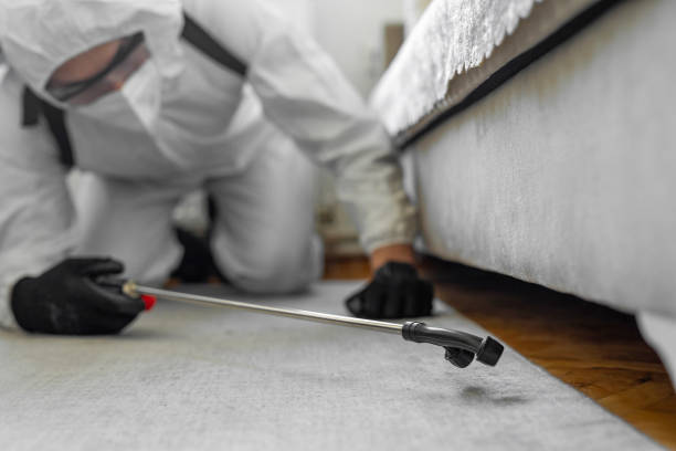 Professional Cockroach Control technician working in Groesbeck, OH